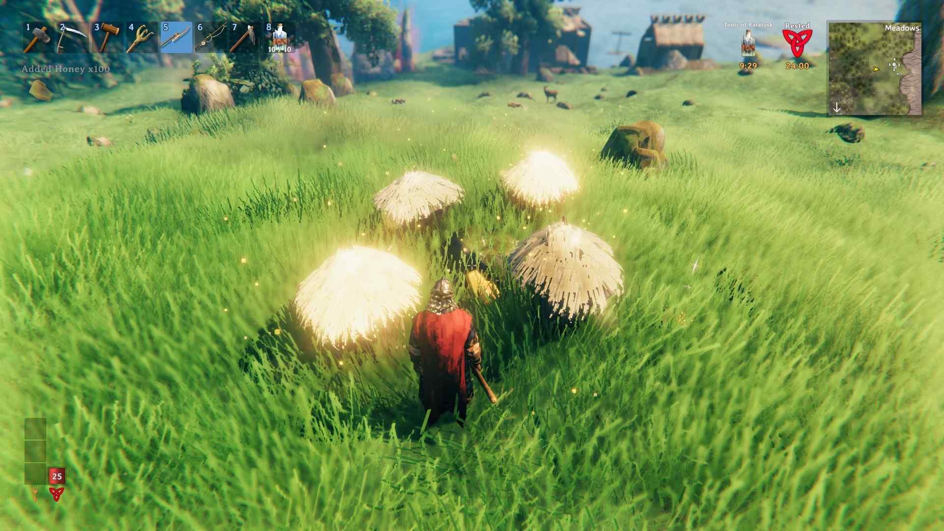 Sammle Honig von Deinen Bienenstöcken im Valheim Bog Witch Update.