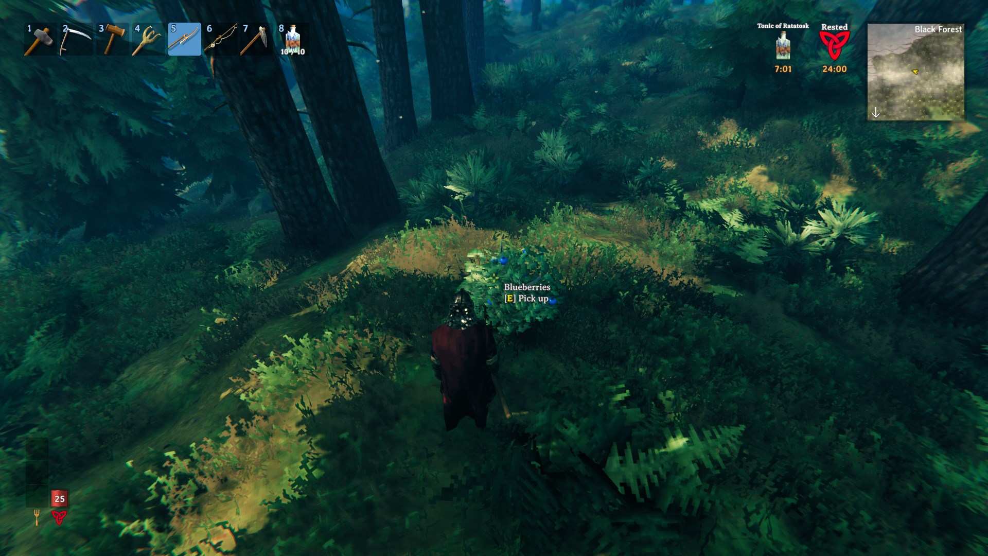 Pflücke Blaubeeren von Büschen im Black Forest im Valheim Bog Witch Update.
