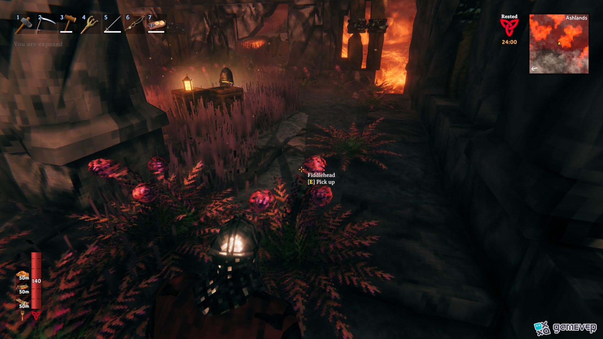 Cosecha brotes de helecho en el bioma de las Tierras Cenizas en Valheim Bog Witch