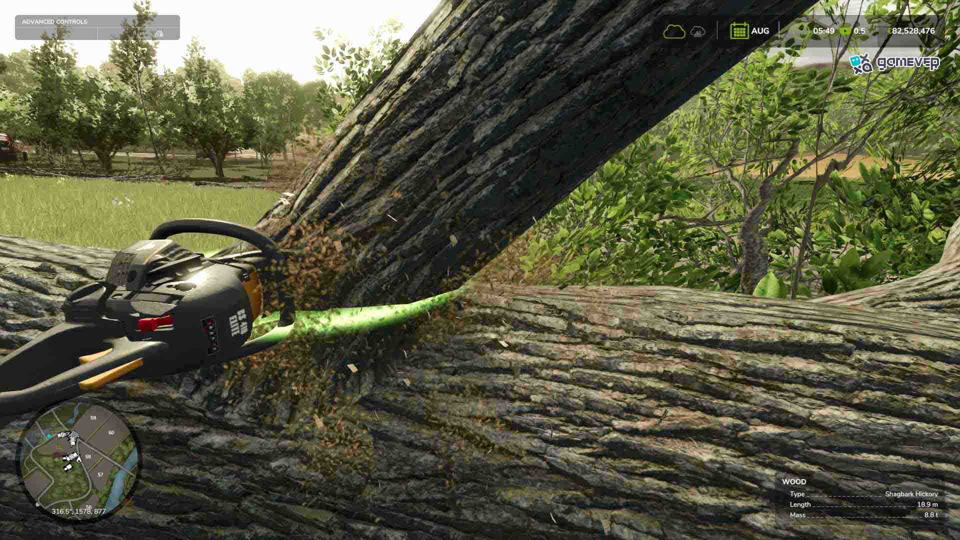 Recorta las ramas con una motosierra después de cortar en Farming Simulator 25