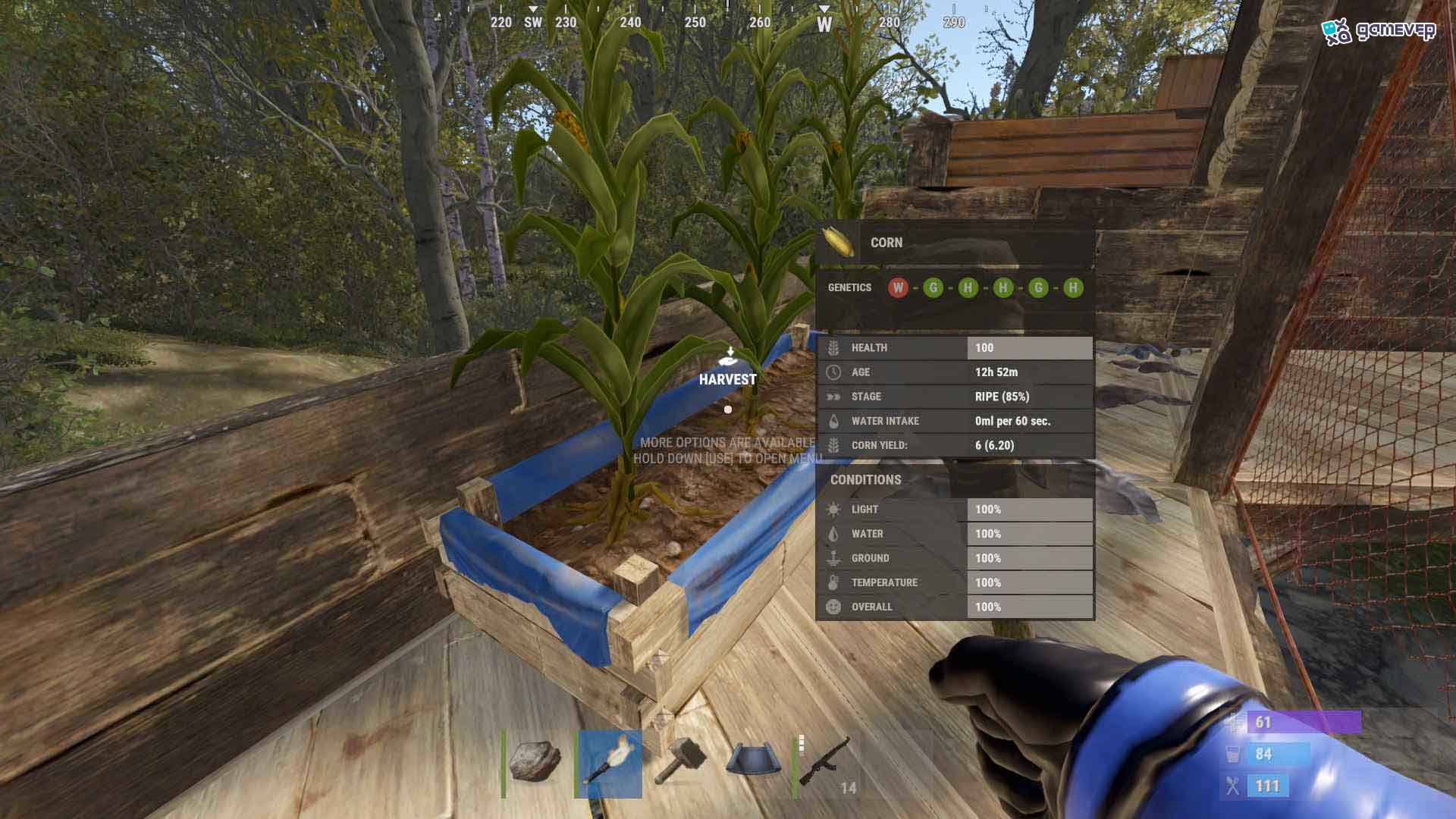 Cosecha cultivos frescos de los plantadores del pozo de agua en Rust