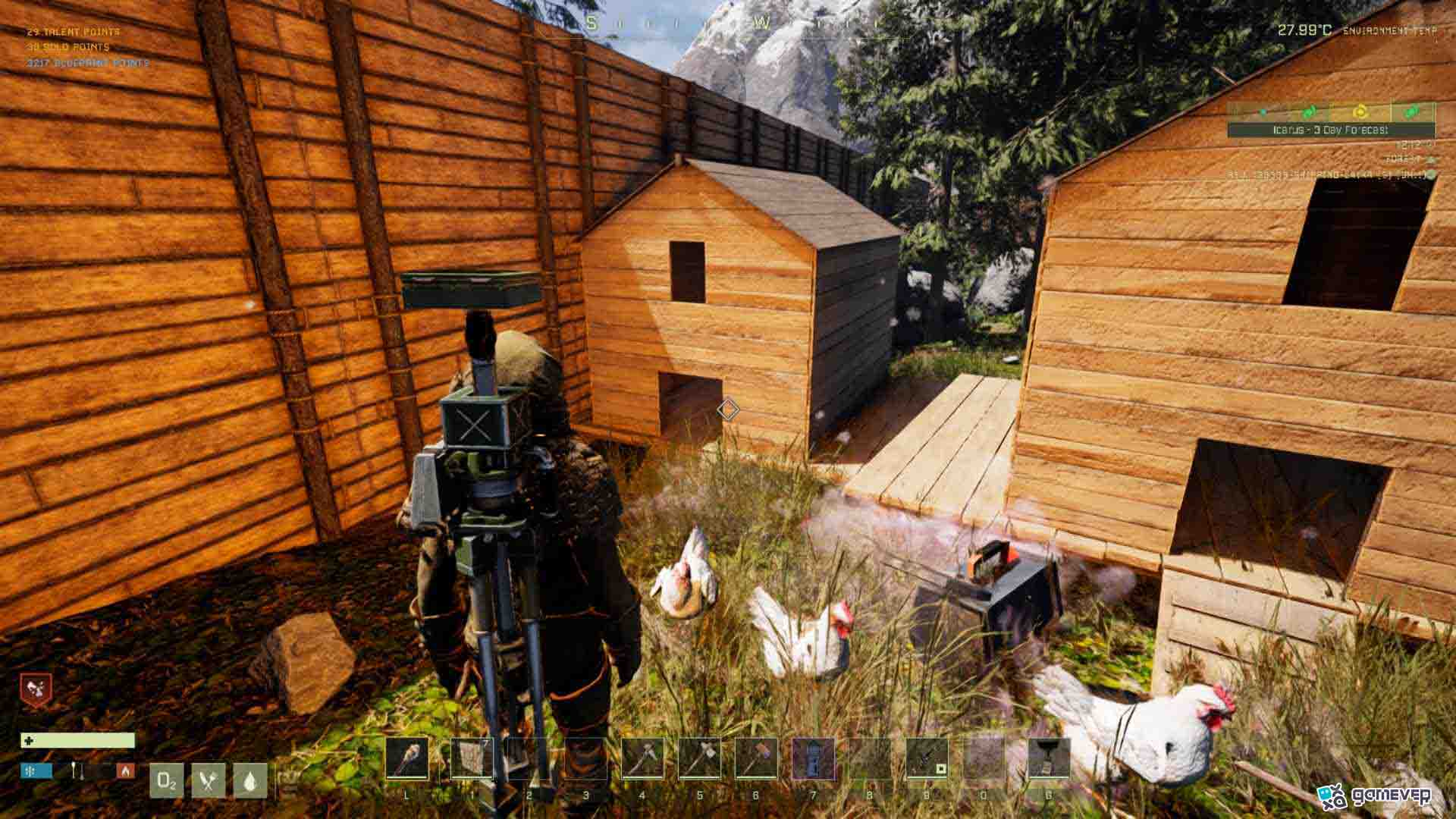 Despliega gallinas congeladas para darles vida.
