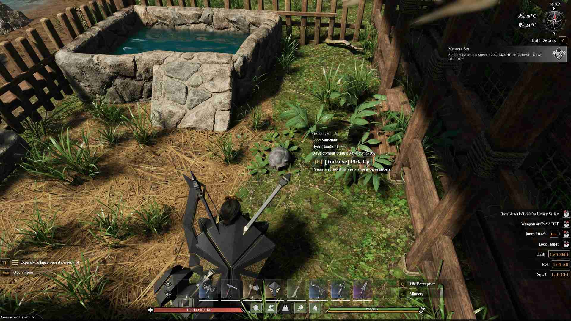 Feed the tortoise papaya and other nutritious plants in Soulmask Wild Ride Update