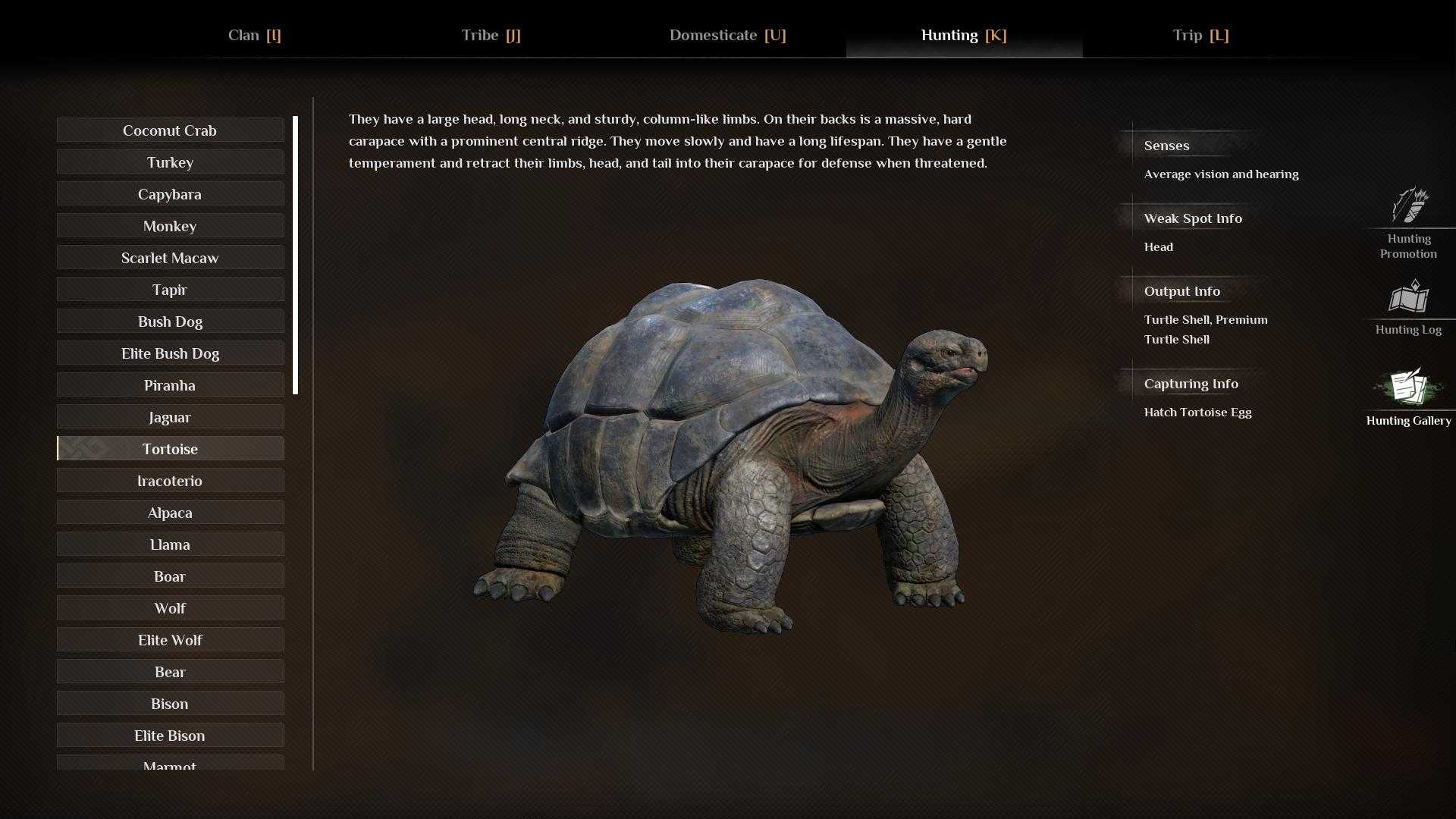 Circle behind the Tortoise to interrupt its healing process