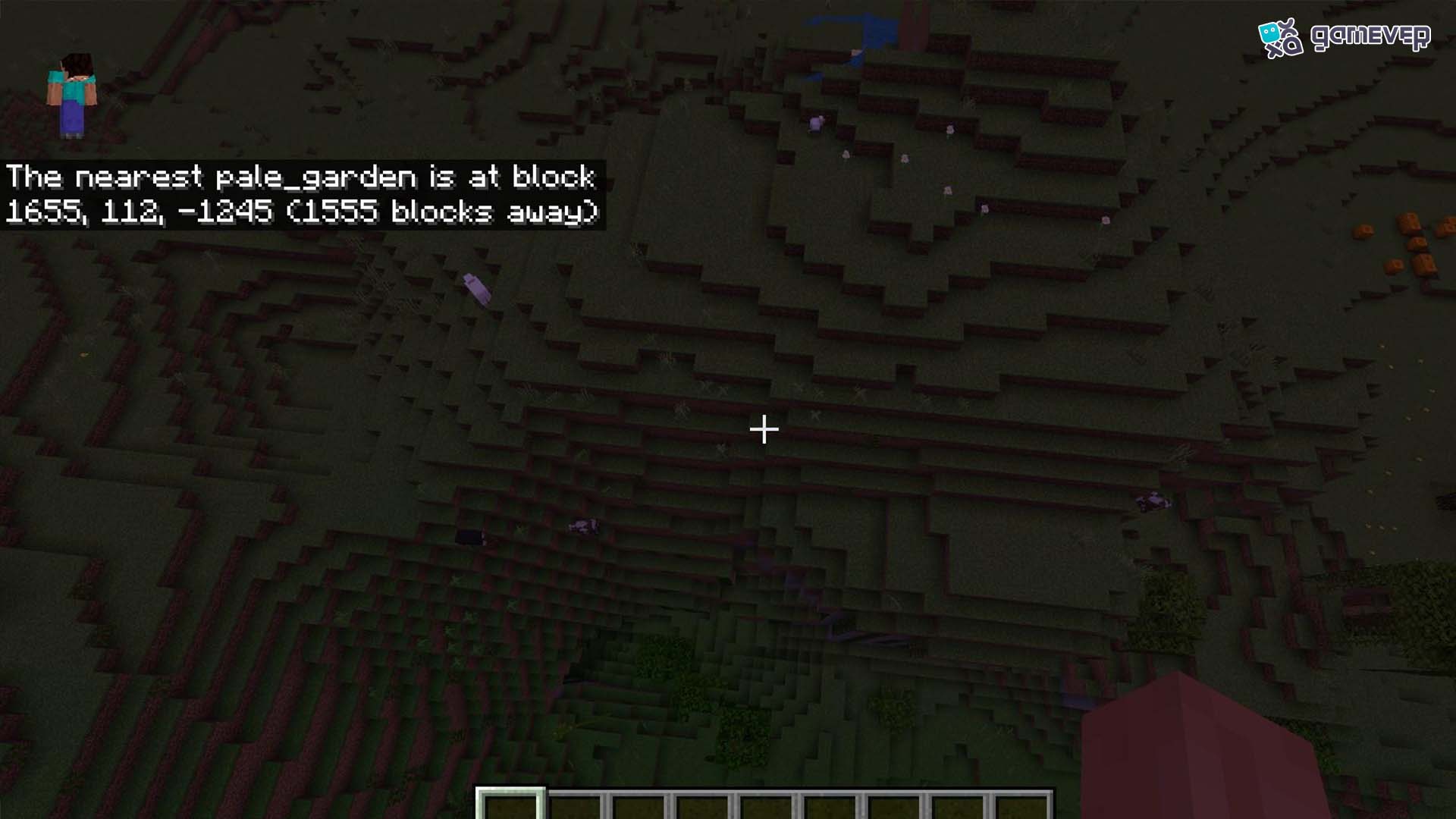 Introduce las coordenadas para teletransportarte directamente al Pale Garden.