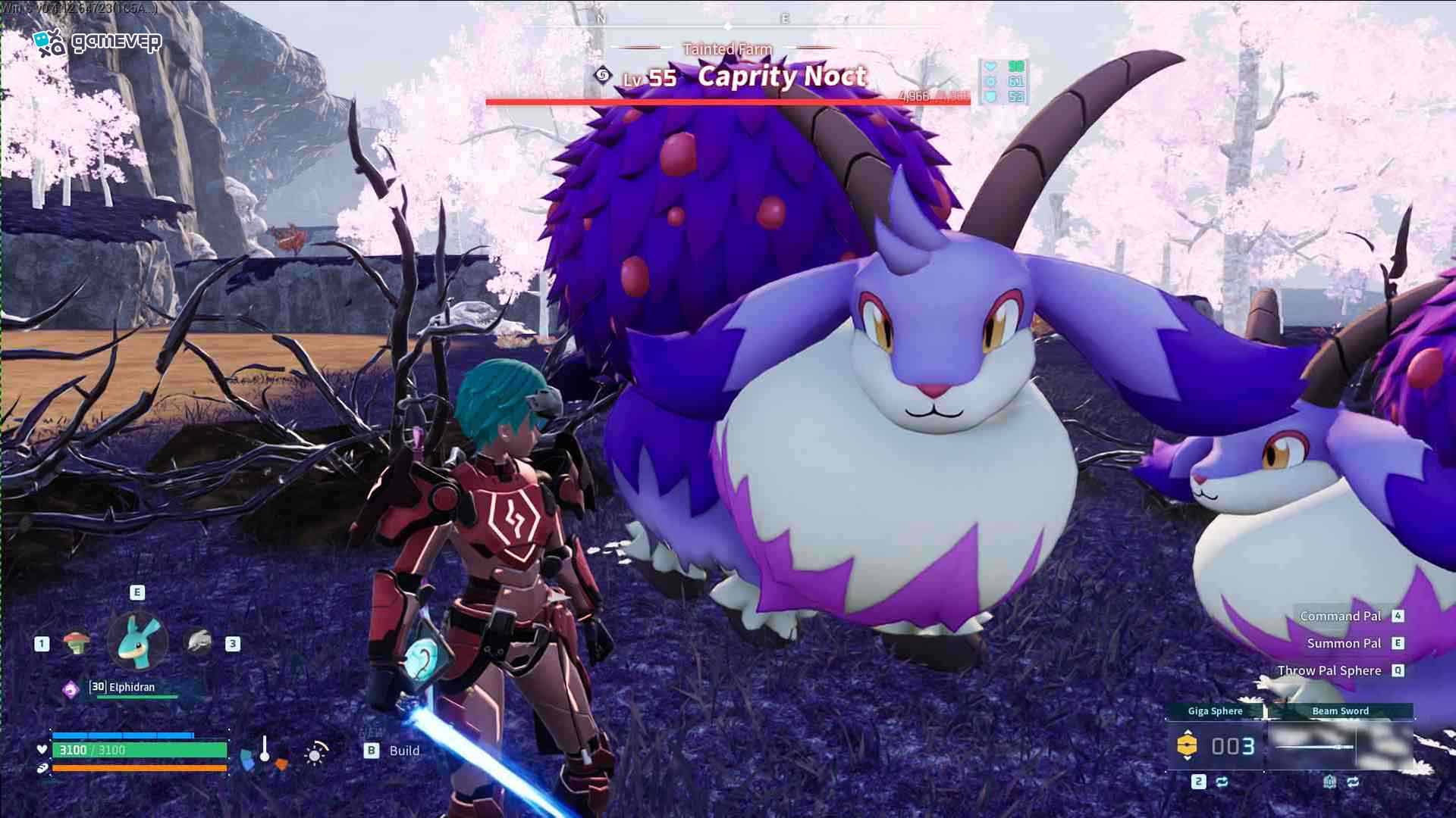 Dónde encontrar a Caprity Noct