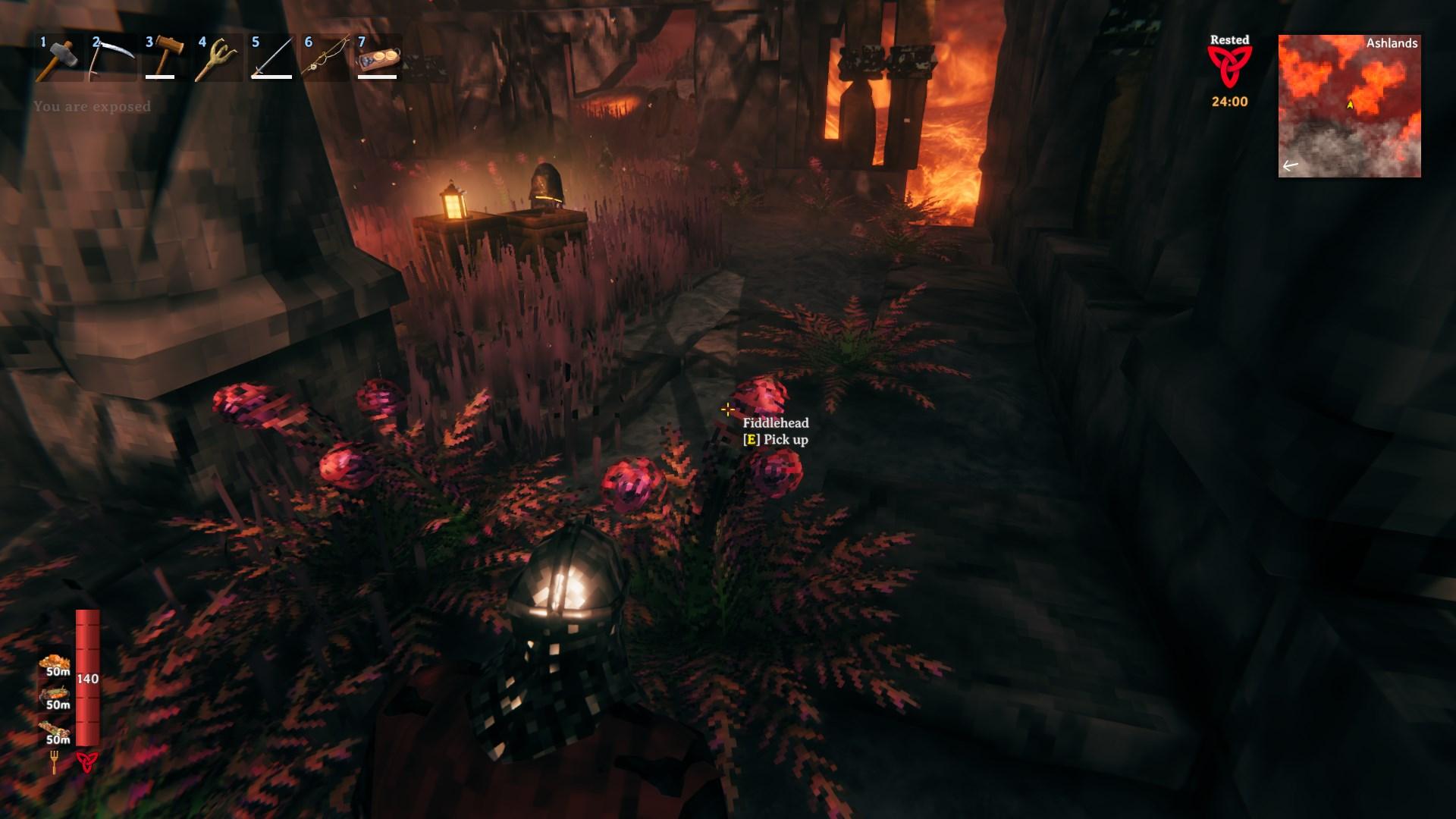 Zbieraj skrzypłocze w biomie Ashlands w Valheim Bog Witch