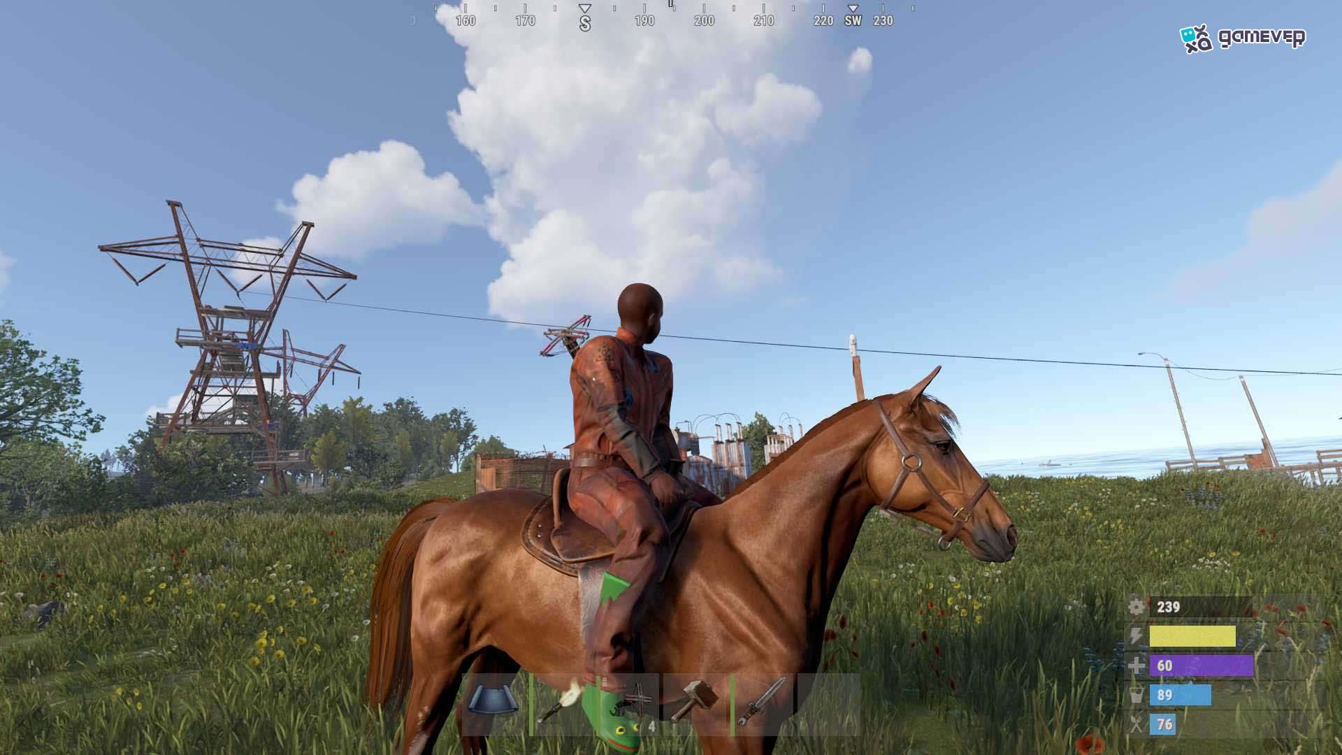 Localiza un caballo en la naturaleza y reclámalo como tuyo.