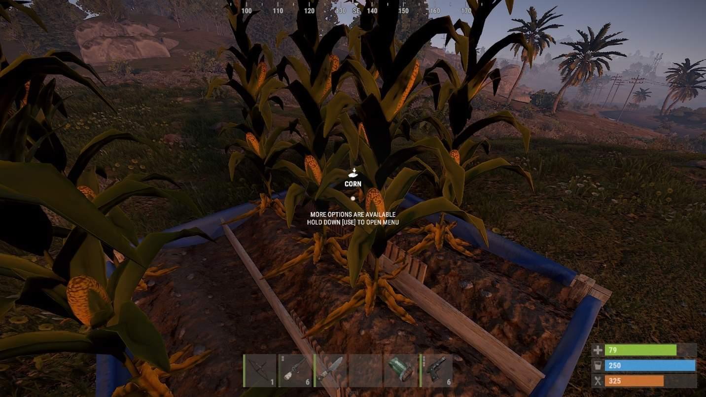Rolnictwo jest oznaką stabilności w Rust