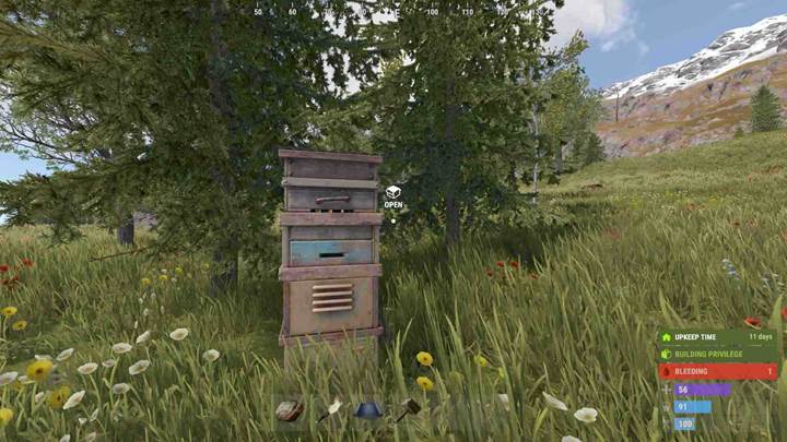 Ernte Honig aus Bienenstöcken, um ihn für besondere Mahlzeiten in Rust zu nutzen