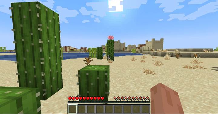 How to collect and farm cactus flowers in Minecraft Spring to Life - gamever