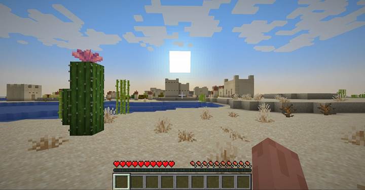 Check for cactus flowers and firefly bushes in new worlds