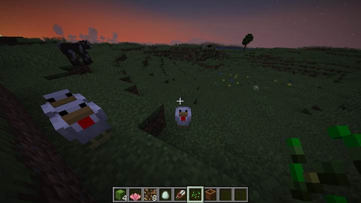 Entdecke alle drei Hühnchenvarianten in Minecraft