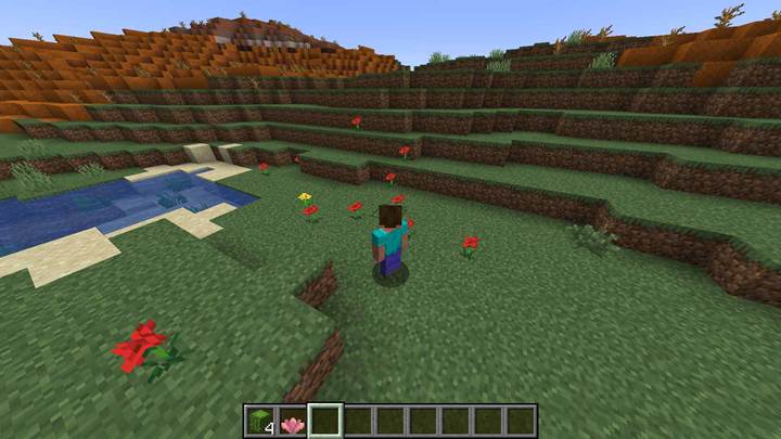 Sammle Wildblumen mit der Hand in Minecraft