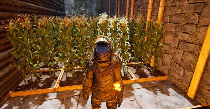 Craft Progenative Fertilizer at the Herbalism Bench in Icarus.