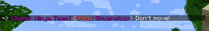 Nur Spieler in deinem Team sehen die Nachricht. Sie erscheint im Chat mit deinem Namen davor und ist als Teamnachricht markiert.