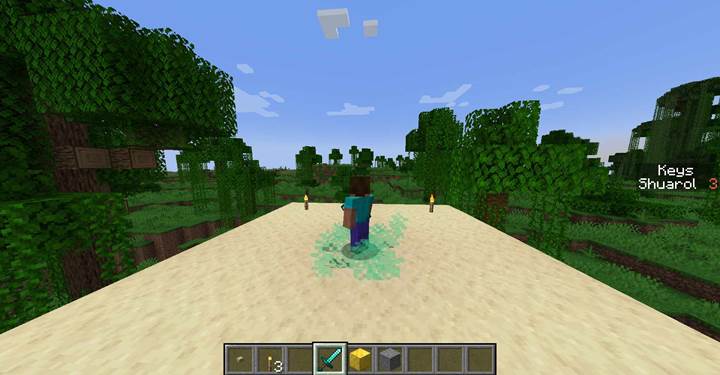 Füge Niespartikel in Minecraft hinzu.