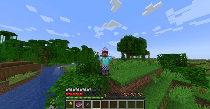 Choose animations like eat or drink for visual feedback in Minecraft.