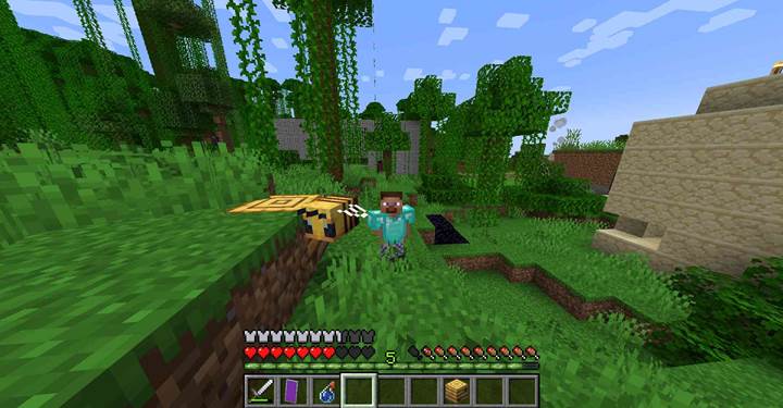 Set how long bees must stay before exiting the hive.
