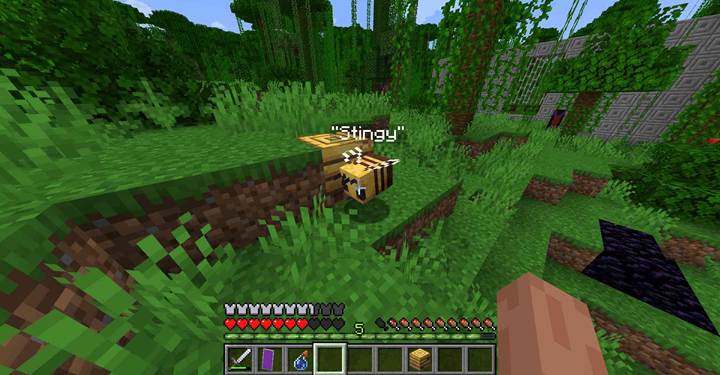 Daj gniazdo pszczół wypełnione nazwanymi pszczołami w Minecrafcie.