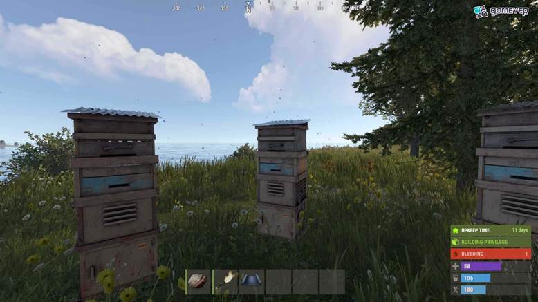 Coloca tu Colmena en el bioma del bosque para maximizar la producción de miel en Rust.