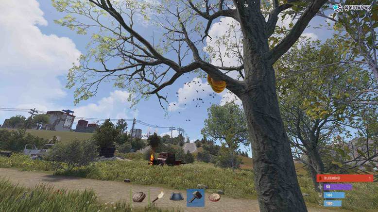 Busca colmenas naturales en los árboles para recolectar panales en Rust.