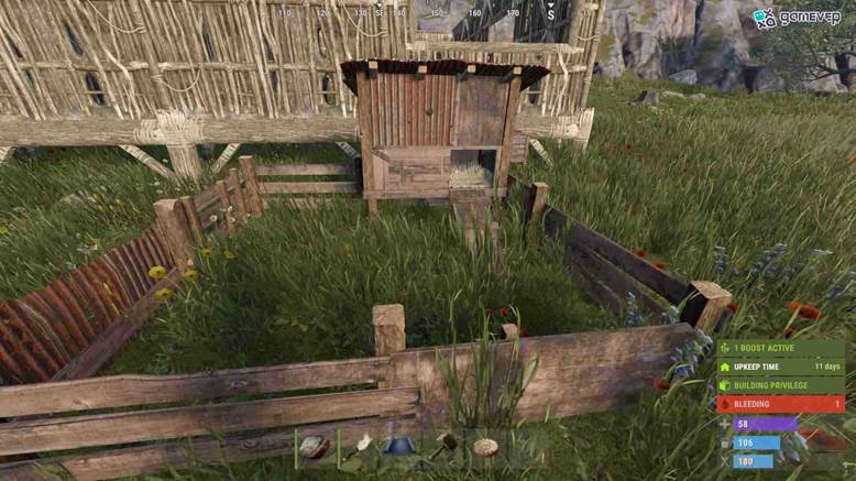 Recolecta huevos de gallinas salvajes o intercambia con otros jugadores en Rust.