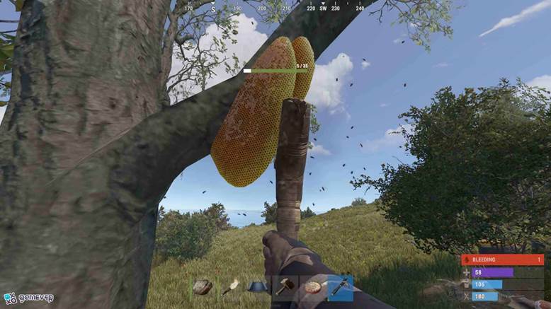 Encuentra una colmena natural en los bosques de Rust.