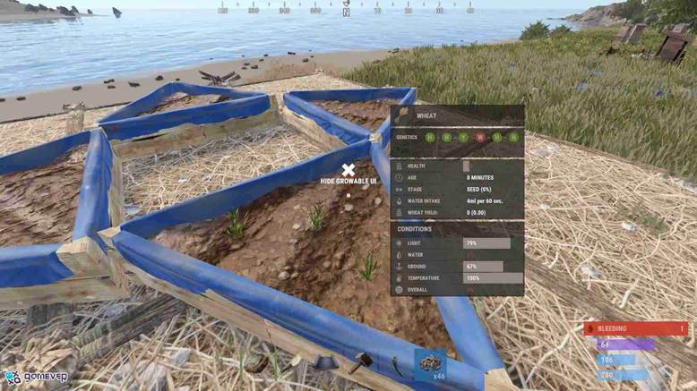 Cultiva cuatro plantas en un solo macetero triangular para máxima eficiencia en Rust.