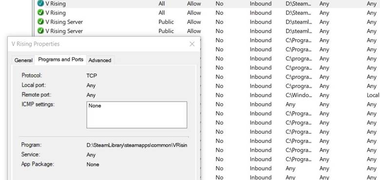 Erlaube V Rising durch die Firewall.