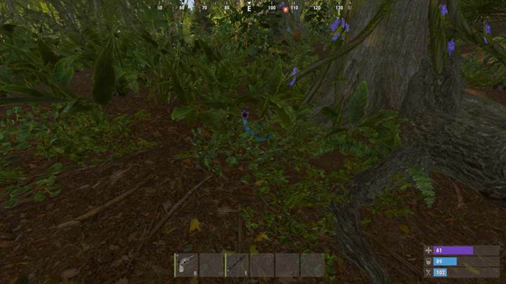 Gamever.io next-gen game hosting