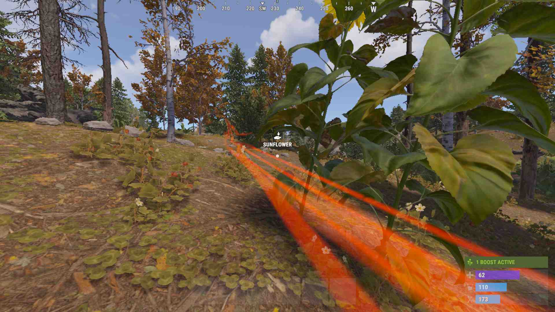 Folge helleren Spuren für frischere Tierstandorte im Rust Jungle.
