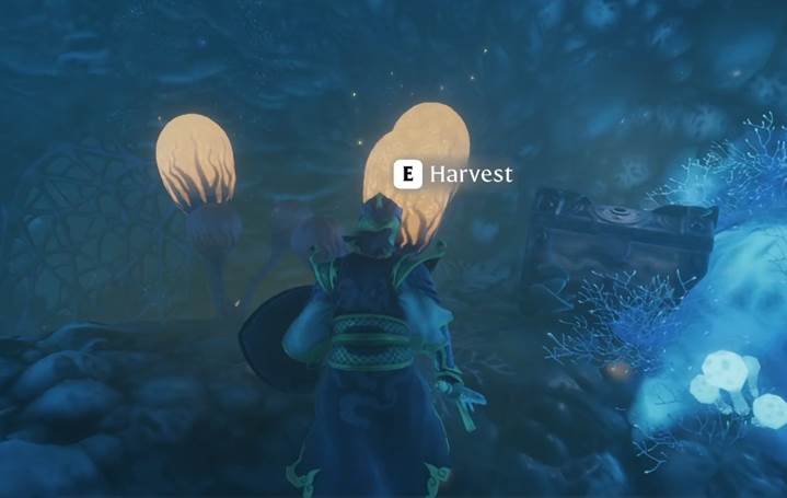 Harvest essence in Revelwood in Enshrouded Thralls of Twilight Update.