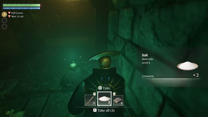 Sammle Salz aus verstreuten Orten in Enshrouded Thralls of Twilight.