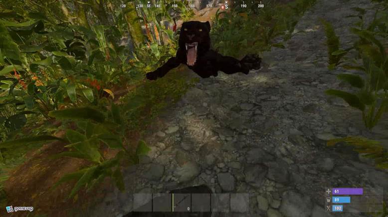 Mantente alerta cuando el canto de los insectos se detenga en la jungla.