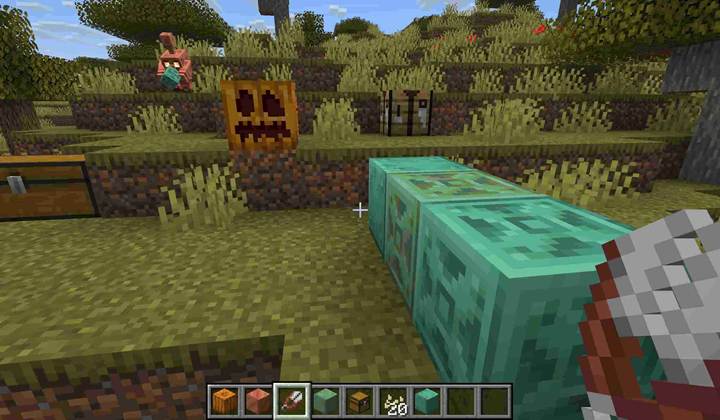 Use shears to carve a face into a pumpkin in Minecraft.