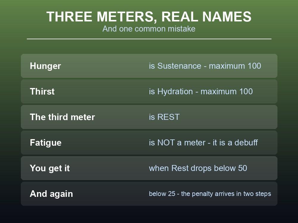 Card showing Dragonwilds' three survival meters and what slows each one.