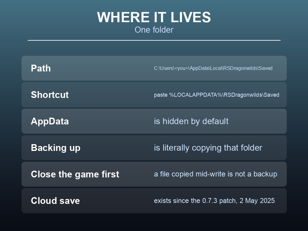 Card showing the Dragonwilds save file location and contents.