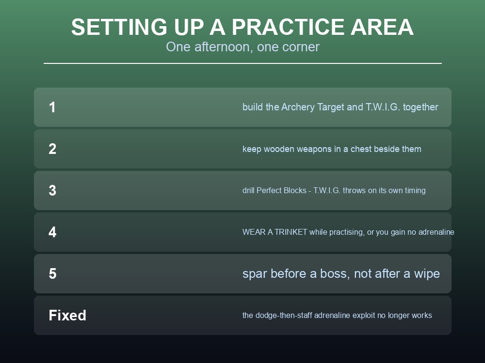 Card giving practical advice for a Valheim sparring setup on a server.