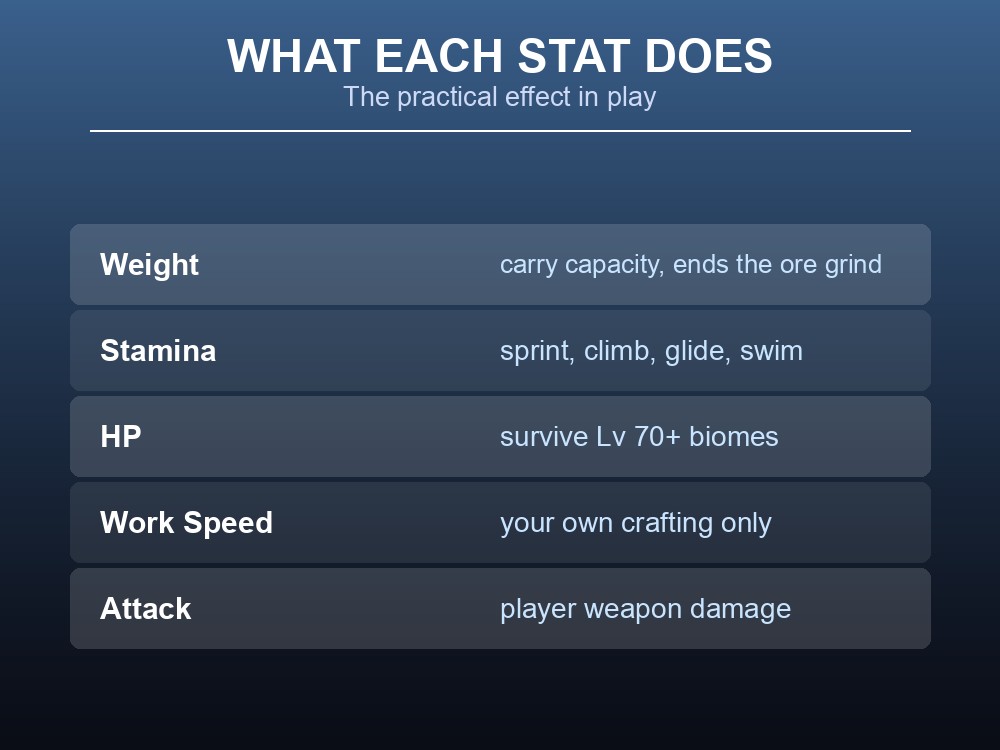 Card explaining what each Palworld player stat actually does in play.