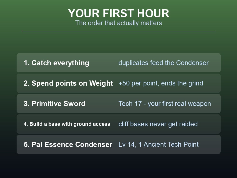 Card listing the first-hour priority order in Palworld 1.0: catch everything, spend points on Weight, craft the Primitive Sword, build a base with ground access, and place the Condenser.