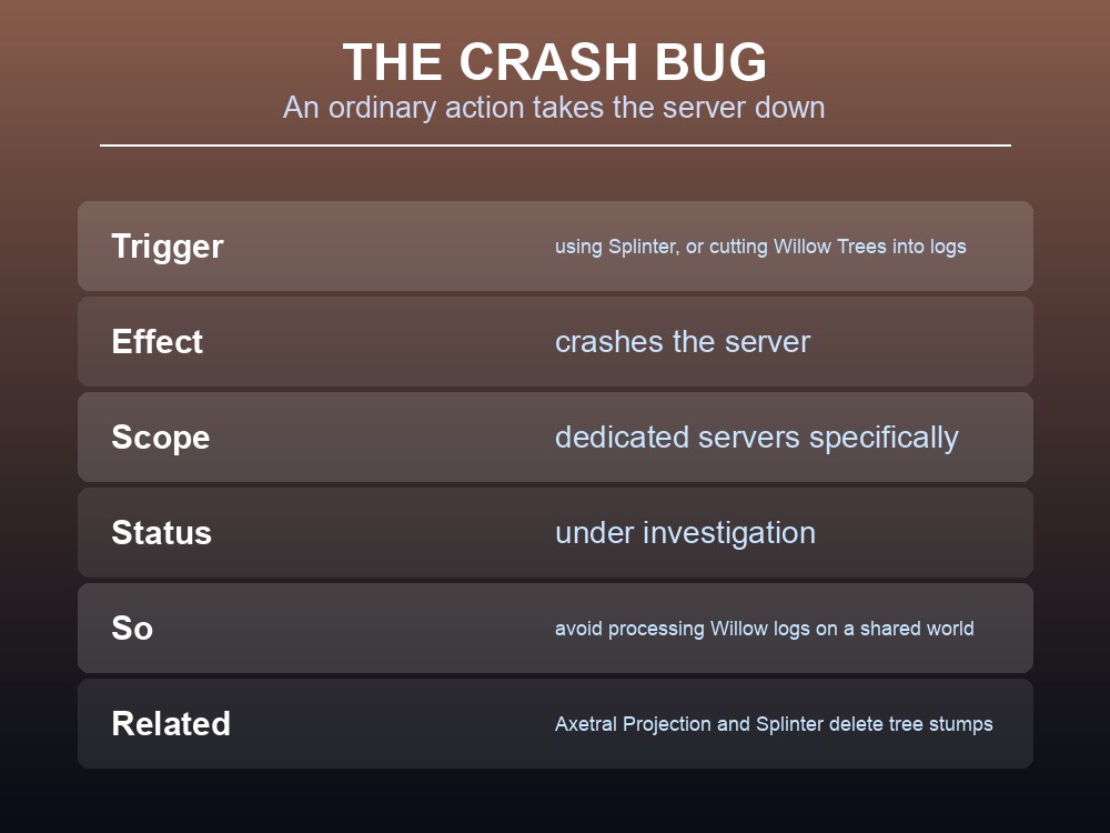 Card listing the known dedicated-server issues in Dragonwilds.