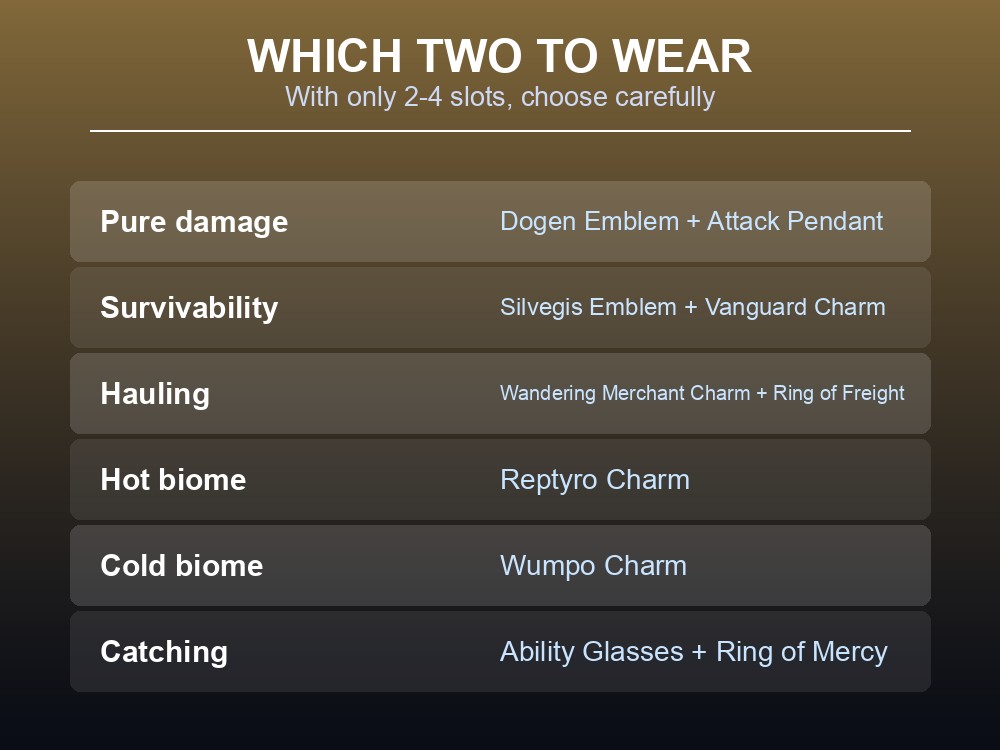 Card matching accessory loadouts to activities: damage, survivability, hauling, biomes and catching.