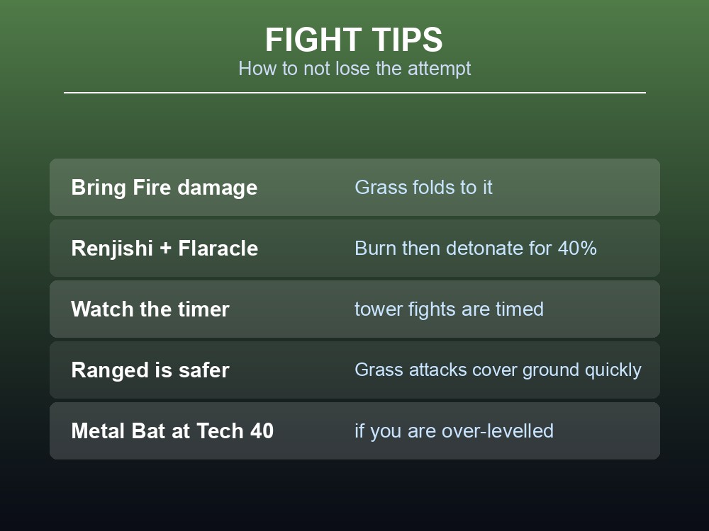 Card listing fight tips for the Lily and Lyleen encounter.