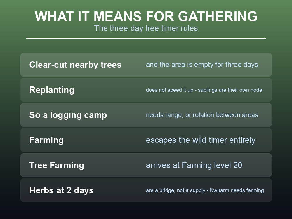 Card explaining how respawn timers shape Dragonwilds gathering routes.