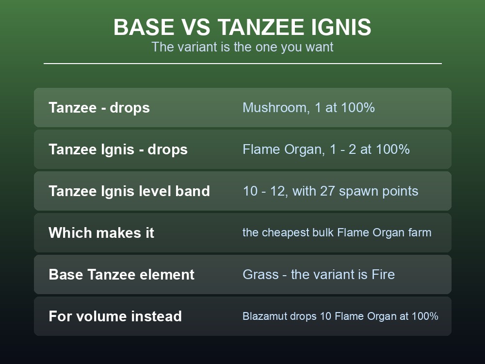 Card comparing base Tanzee's Mushroom drop with Tanzee Ignis's Flame Organ.