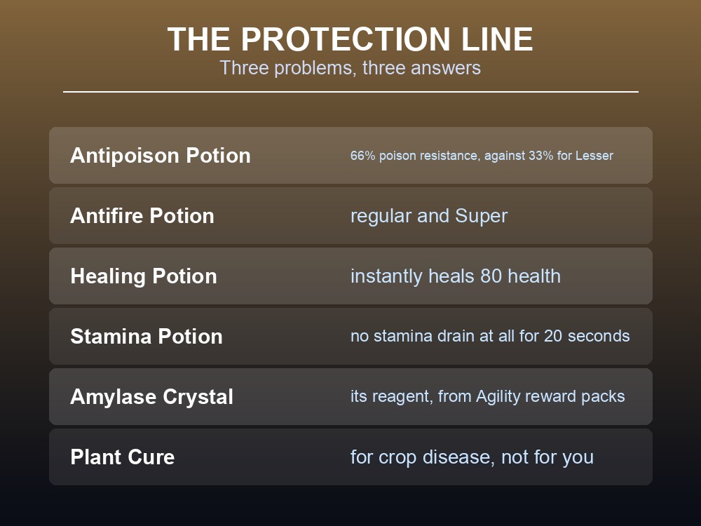 Card listing Dragonwilds' protection and healing potions.