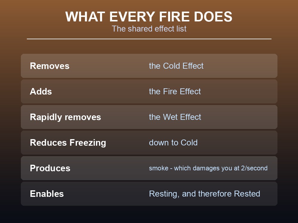 Card listing the shared effects of every Valheim fire source.
