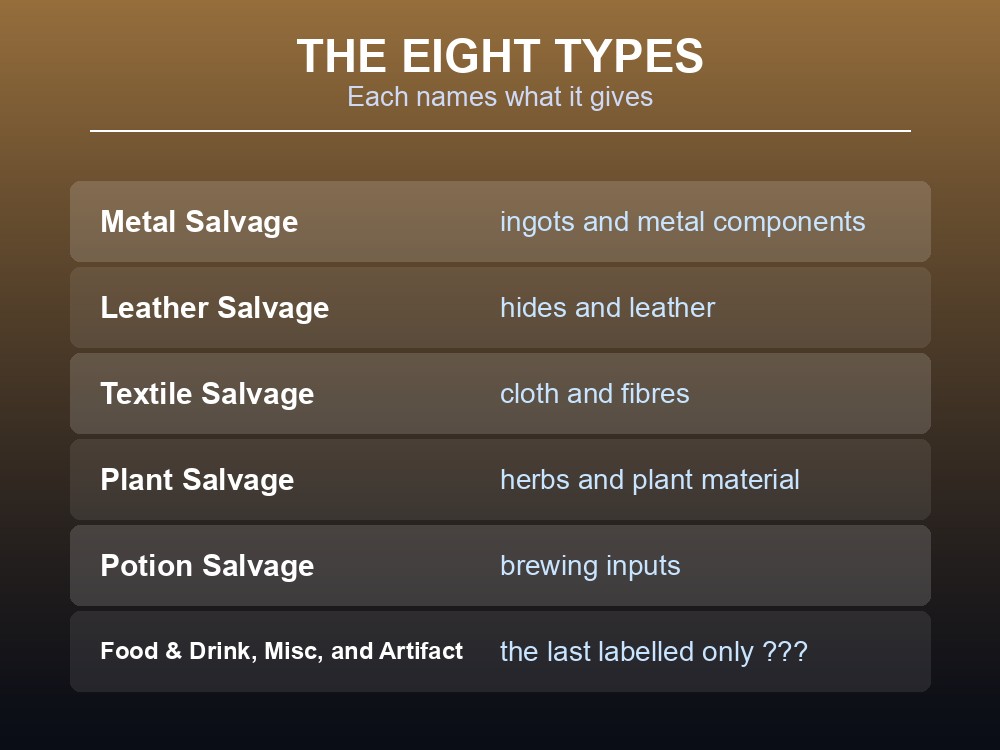 Card listing the eight types of salvage hotspot in Dragonwilds.