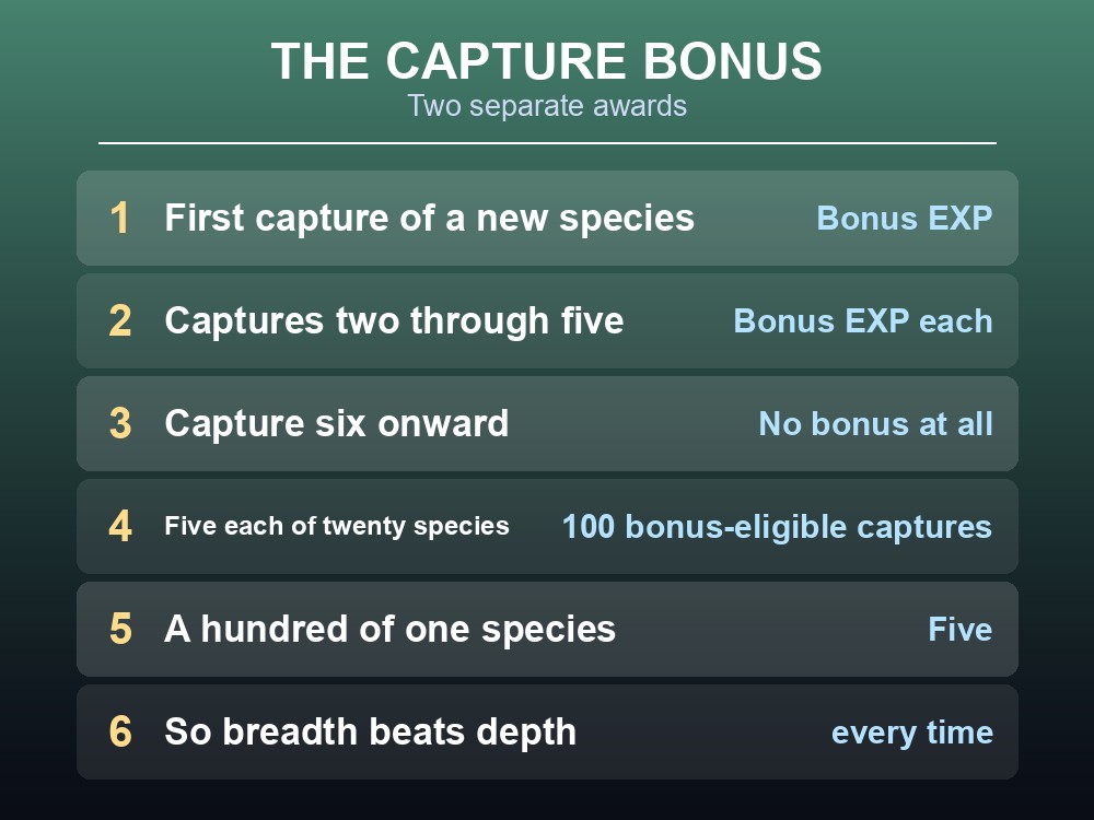 Card showing the Palworld capture bonus applying to the first five catches of each species.